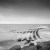 Seascapes Zine | Cobbold_Point.jpg